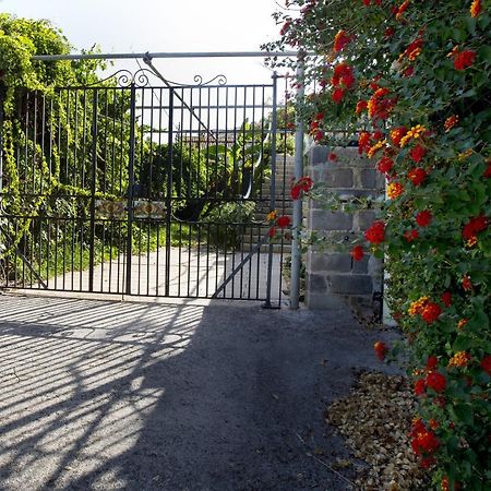 Villa Con Piscina Vista Mare Santo Stefano  Eksteriør billede